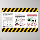 Zombie Survival Guide - Deluxe Poster (Voorkant)