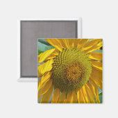 Zomende zonnebloemen magneet (Voorkant / Achterkant)