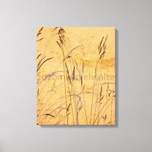 Zomentgrassen en Poster van de schaduwen Canvas Afdruk (Voorkant)