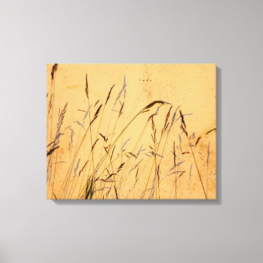 Zomentgrassen en Poster van de schaduwen Canvas Afdruk (Voorkant)