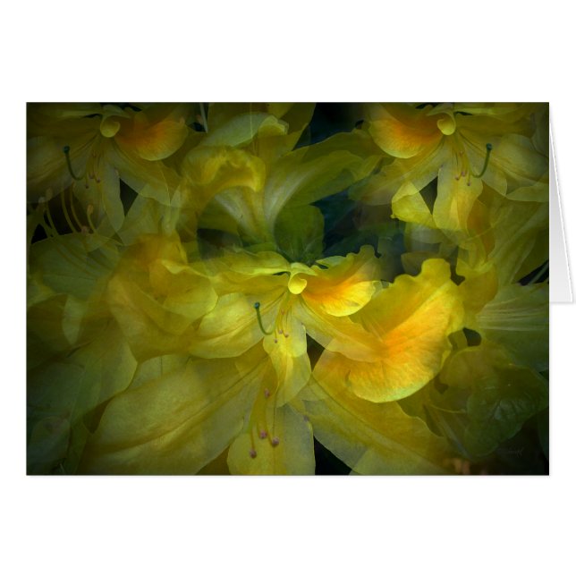 zomer (Voorkant Horizontaal)