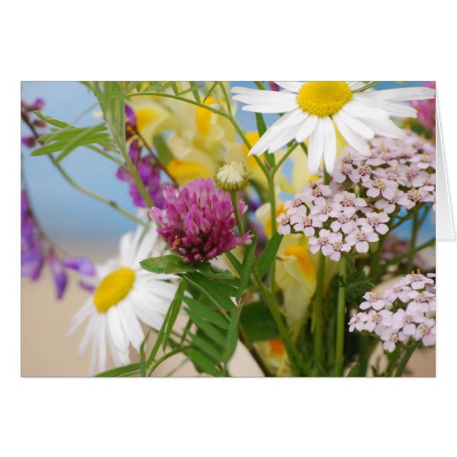 zomer (Voorkant Horizontaal)