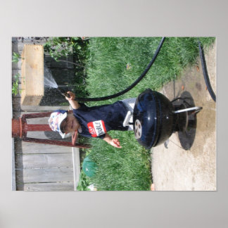 zomer 07 188 poster