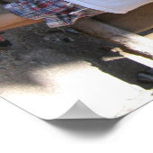 zomer 07 192 poster (Hoek)