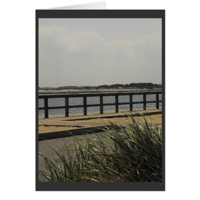 zomer ~ 11 (Voorkant)