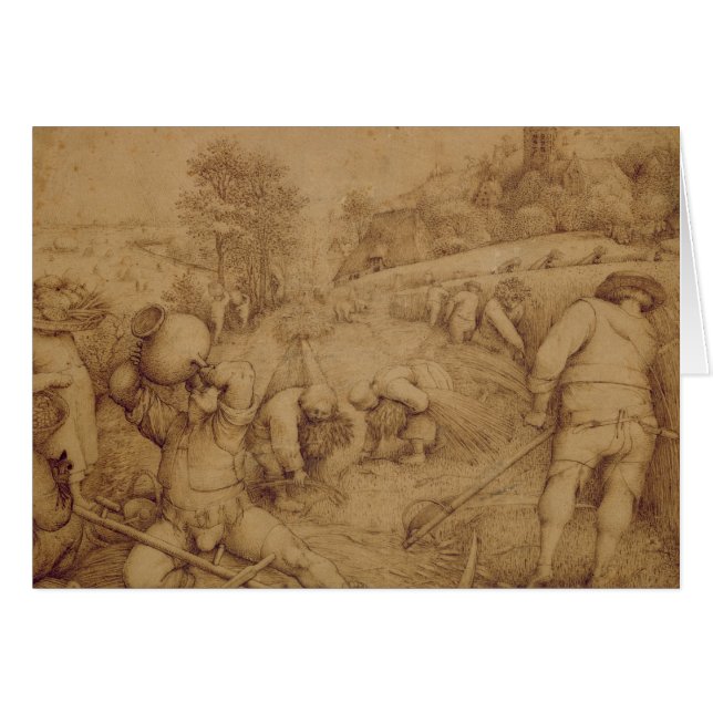 Zomer 1568 (Voorkant Horizontaal)