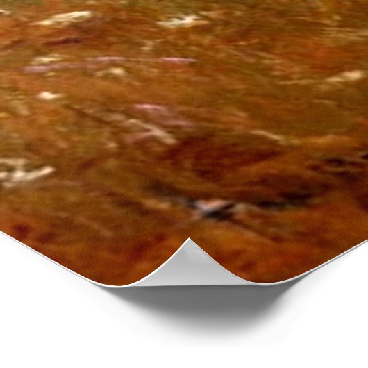 zomer 1909 poster (Hoek)