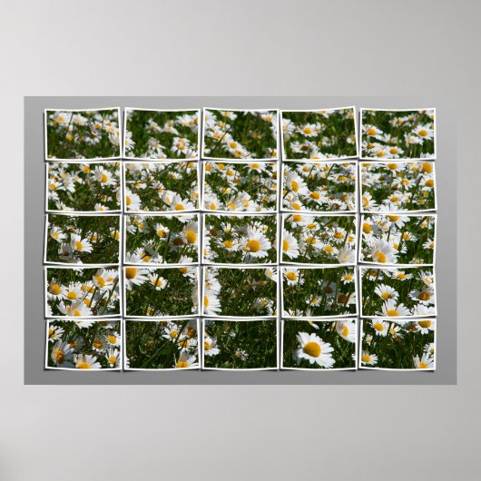 Zomer 2006 poster (Voorkant)