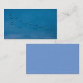 Zomer 2019 Seagulls op zoek naar voedsel Visitekaartje (Voorkant / Achterkant)