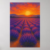 Zomer 3, zonsondergang over lavendel, seizoensgebo poster (Voorkant)