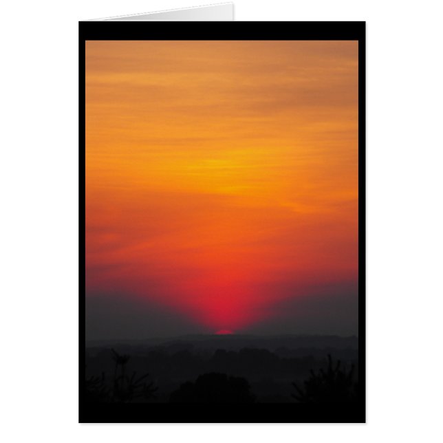 zomer ~ 6 (Voorkant)