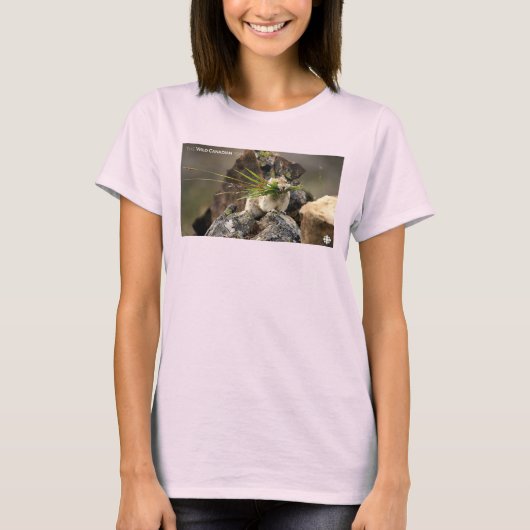 Zomer - Amerikaanse Pica Women's T-shirt (Voorkant)