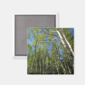 Zomer Berk Bomen bij Rocky Mountain Magneet (Voorkant / Achterkant)