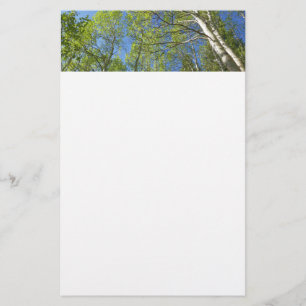 Zomer Berkebomen bij Rocky Mountain Briefpapier