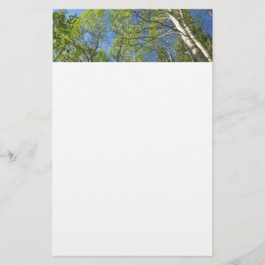 Zomer Berkebomen bij Rocky Mountain Briefpapier (Voorkant)