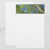 Zomer Berkebomen bij Rocky Mountain Briefpapier (Voorkant / Achterkant)
