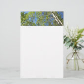 Zomer Berkebomen bij Rocky Mountain Briefpapier (Staand voorkant)