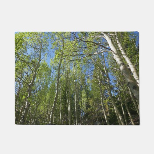 Zomer Berkebomen bij Rocky Mountain Deurmat (Voorkant)