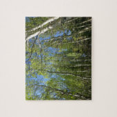 Zomer Berkebomen bij Rocky Mountain Legpuzzel (Verticaal)