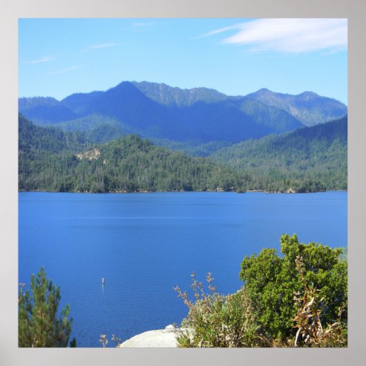 Zomer bij het meer..... poster (Voorkant)