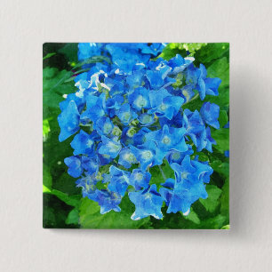 zomer blauwe hortensia bloemen en zijn groene blad vierkante button 5,1 cm