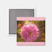 Zomer Bloem Anjer Magneet (Voorkant / Achterkant)