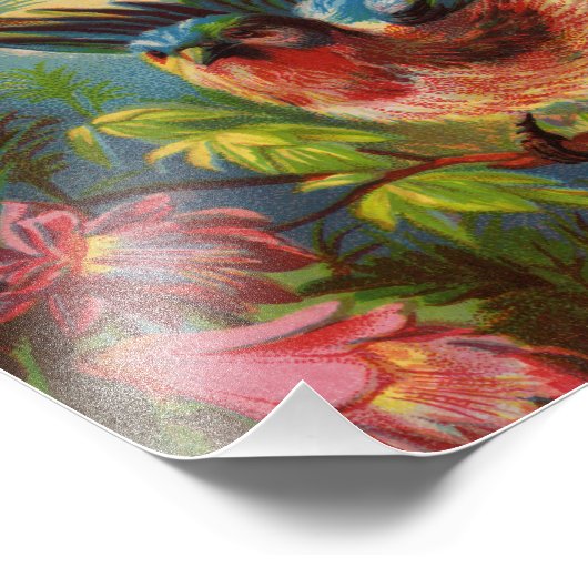 Zomer Bluebird foto afdrukken (Hoek)