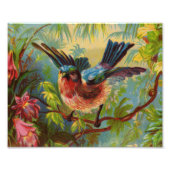 Zomer Bluebird foto afdrukken (Voorkant)