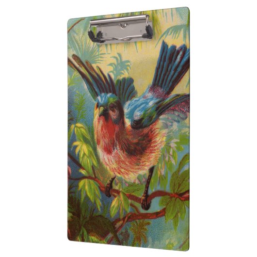 Zomer Bluebird Klembord (Links)