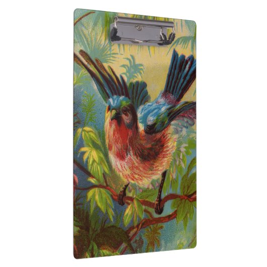 Zomer Bluebird Klembord (Rechts)