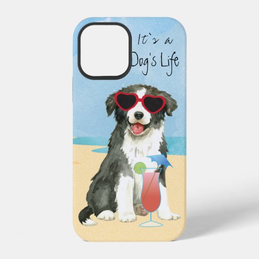 Zomer Border Collie Case-Mate iPhone Hoesje iPhone 12 Hoesje (Achterkant)