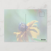 Zomer Briefkaart (Achterkant)