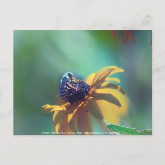 Zomer Briefkaart (Voorkant)