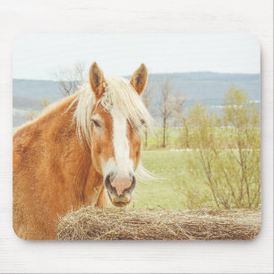Zomer bries Palomino boerderij paard Muismat