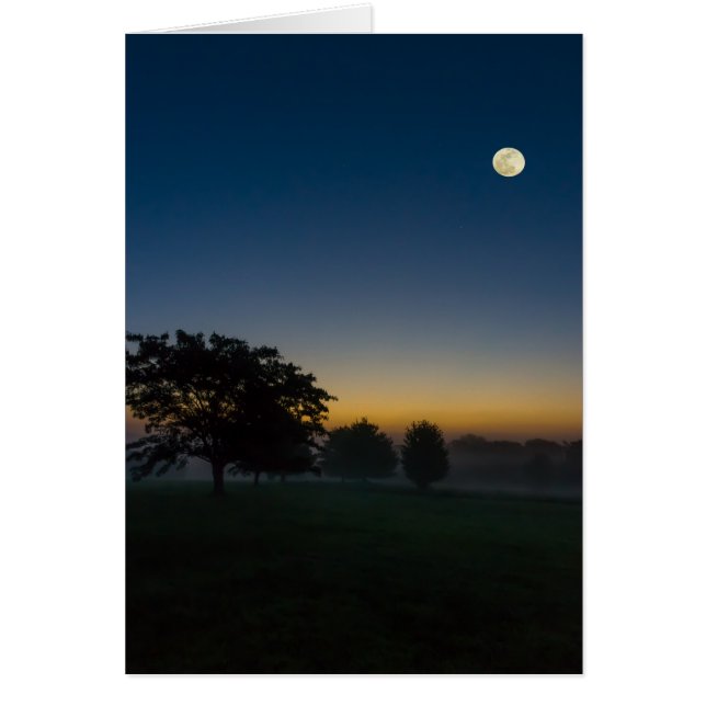 Zomer Dagen met maan (Voorkant)