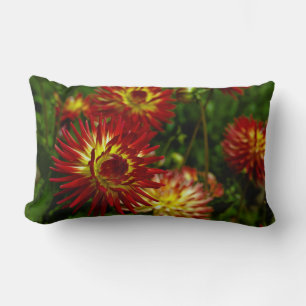 Zomer Dahlia Bloem Kussen