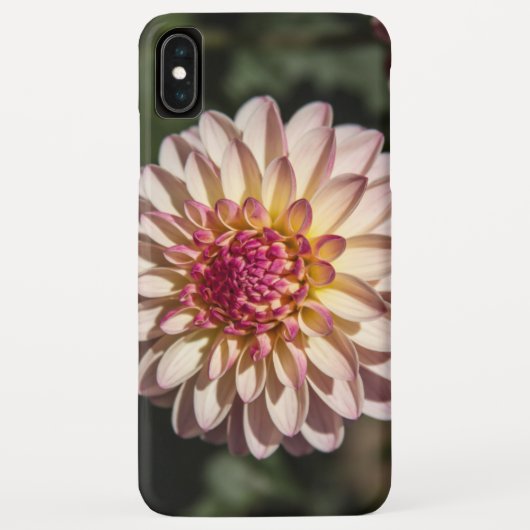 Zomer Dahlia Case-Mate iPhone Case (Achterkant)