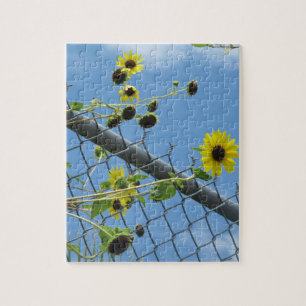 Zomer Daisy Legpuzzel