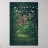 Zomer dennenbos pad poster (Voorkant)