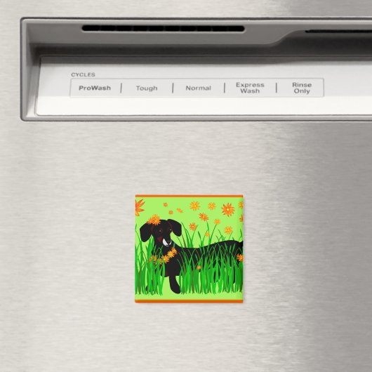 Zomer Doxie, magneet (Insitu (Vaatwasser))