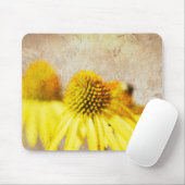 Zomer Echinacea Bloemen Muismat (Met muis)