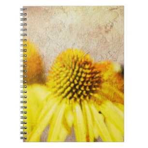 Zomer Echinacea Bloemen Notitieboek
