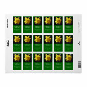 Zomer felgele daffodilappeletiket etiket (Full Sheet)