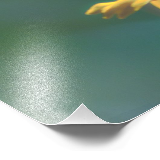 zomer foto afdruk (Hoek)