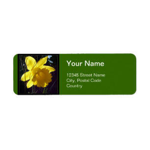 Zomer helder gele narcis bloem adres label