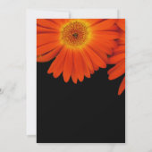 Zomer, herfst-dagbloementjes kaart (Achterkant)