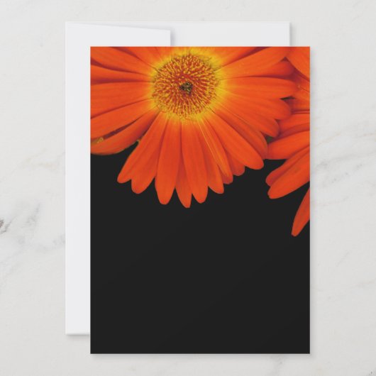 Zomer, herfst-dagbloementjes kaart (Achterkant)