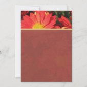 Zomer, herfst-dagbloementjes kaart (Achterkant)