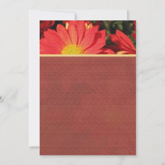 Zomer, herfst-dagbloementjes kaart (Achterkant)