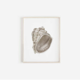 Zomer Home Decor Seashell Print